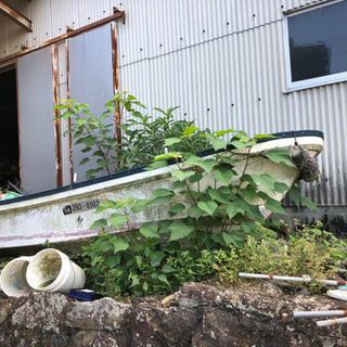 船(エンジン無し)