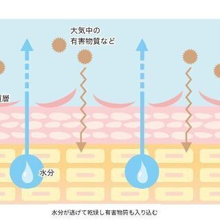 マリアージュ肌の基礎知識講座の画像