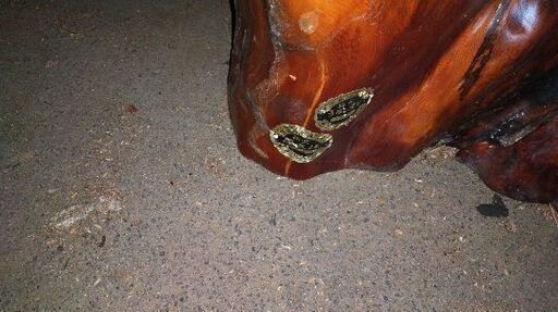 存在感のある屋久杉の衝立