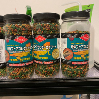 爬虫類 フトアゴヒゲトカゲフード