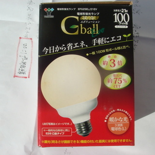 電球形蛍光ランプ