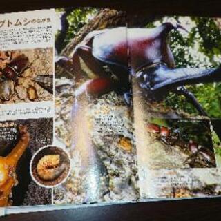 move昆虫動く図鑑の画像