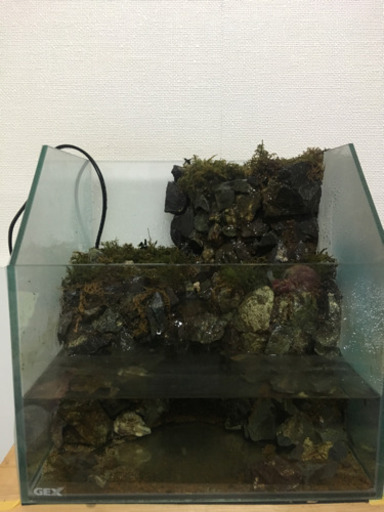 アクアテラリウム 滝