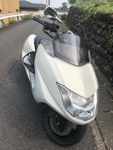 マグザム パールホワイト 東京