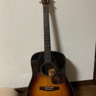 morris アコースティック ギター 本体