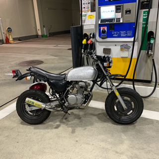 エイプ50売ります！の画像