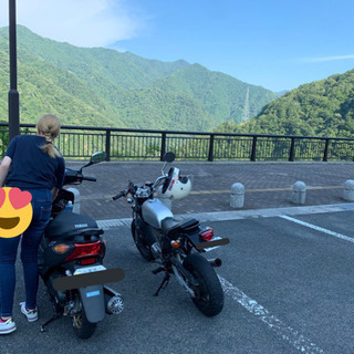 エイプ50売ります！の画像
