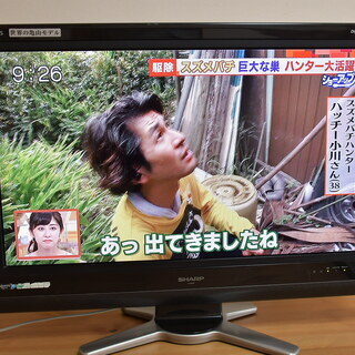32インチ　シャープ　液晶テレビ