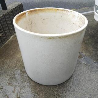 植木鉢 おっきい