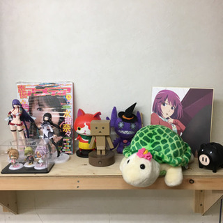 9/14 アイスタ練馬店よりお送りします！