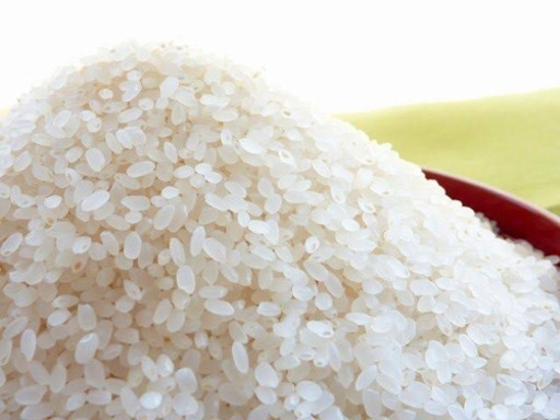 残りわずか!!★令和元年 新米★ていれぎの水 高井産 無農薬 あきたこまち 約27㌔(精米済)