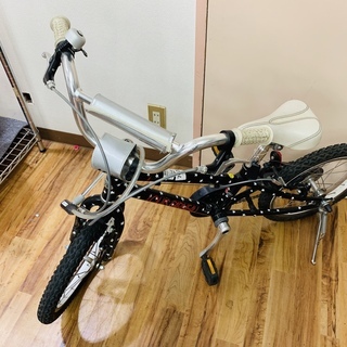 LOUIS GARNEAU　ルイガノ　子供用　自転車　16インチ LOUIS GARNEAU（ルイガノ）2023年モデル K16 （キッズ16）