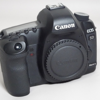 【代引き発送可】Canon EOS 5D mark2 ボディのみ 