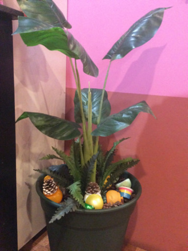 フェイクグリーン9月25日迄