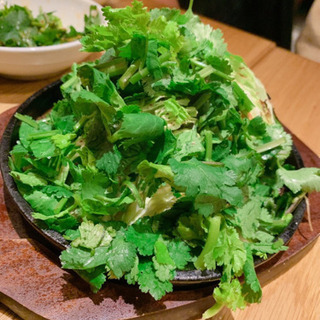 今日14日夜、パクチー好きでお店開拓！(^^) − 東京都