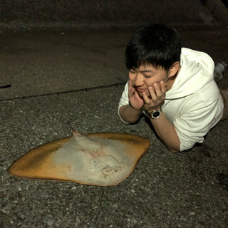 魚！動物！🐟 - 友達