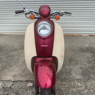 ホンダ スクーピー 50cc 程度良好車  バッテリー新品