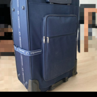 キャリーバッグ 超大型 