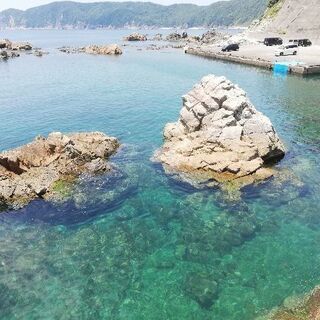 海好き