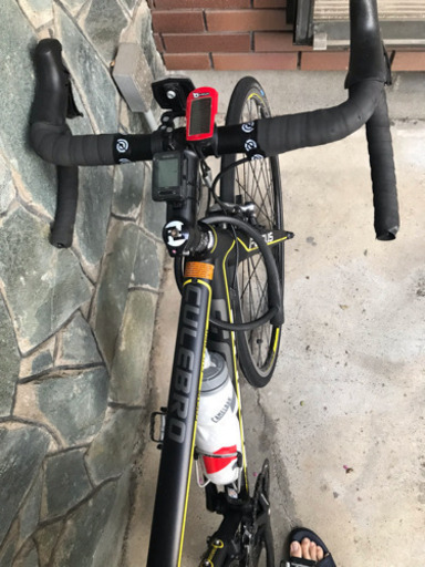 FOCUS CULEBRO SL1.0 2014年製 