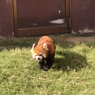 友達ぼしゅう！