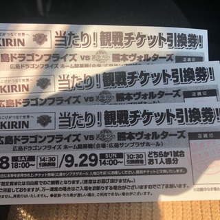 ドラゴンフライズ 観戦チケット引換券