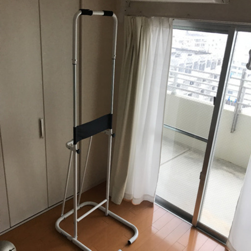 引っ越しSALE☆9/17まで アルインコ ぶら下がり健康器具