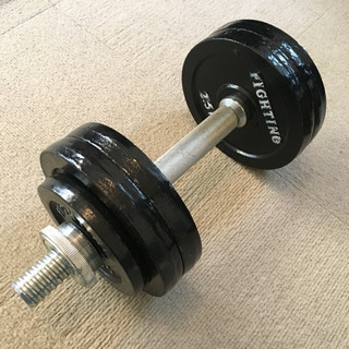 ファイティング・ロード ダンベル 10キロ +2.5キロ