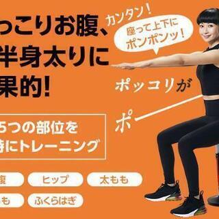 【ダイエット器具】スクワットマジック+ダンベルおまけ付きの画像