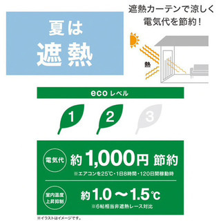 【幅約100×丈約230】ニトリ ミラーレースカーテン 2枚組の画像