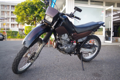 セロー 225 書類あり 大きな不具合なし