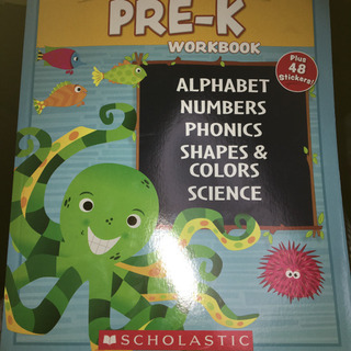 英語 書込みワーク380ページ scholastic succe...