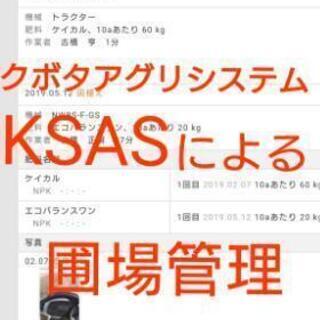 R4 堆肥使用 高品質 ミルキークイーン 先端農家の作るお米の画像
