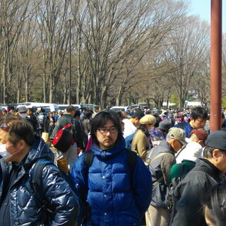 ◎「１１月３日（日祝）小金井公園　フリーマーケット開催」◎