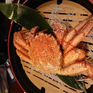 おすすめの飲食店を教えて - 札幌市