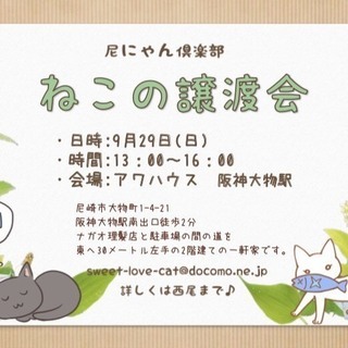 第6回　尼にゃんねこの譲渡会～in大物～