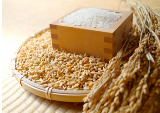 平成30年度 ヒノヒカリ 30kg