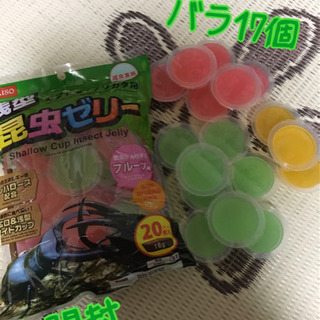 【取引終了】カブトムシ飼育用品の画像