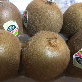 ゼスプリ   グリーンキウイ 20玉！！ 