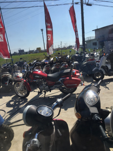 ルーフギア スクリーン 4KN