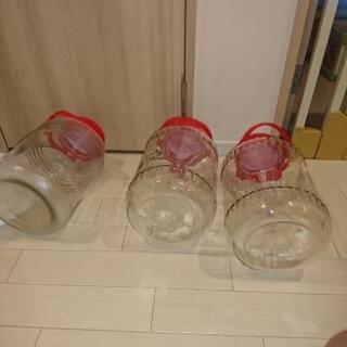 ８Ｌ果実酒の瓶三本の画像