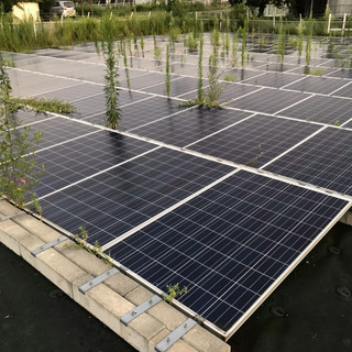 【見積制に変更しました】太陽光発電所内の草刈