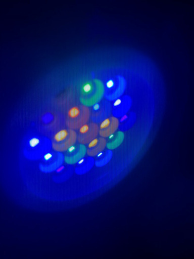 グラッシー  ソーラー Reef LED