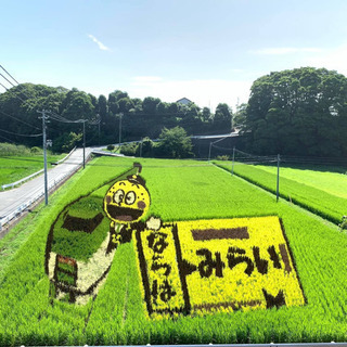 2019福島田んぼアートプロジェクト 稲刈り体験in楢葉