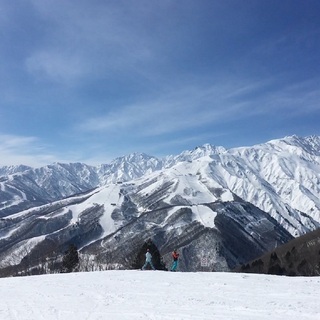 2019-2020 冬季短期スタッフ募集中-Nagano Snow Shuttle の画像