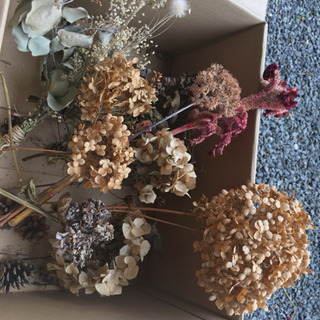 0円！ドライフラワー差し上げます♪の画像