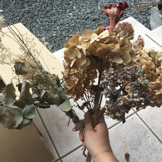 0円！ドライフラワー差し上げます♪の画像