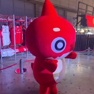 京都エナサーELモン部ランの部員大大大募集中！ − 京都府