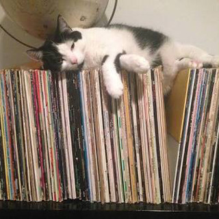【 仙台 】レコード買います！お譲りください！