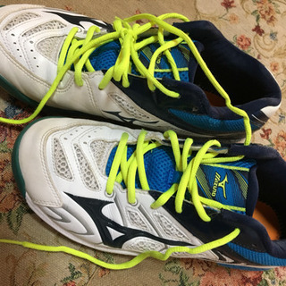 お話中⭐️ミズノバドミントンシューズの画像